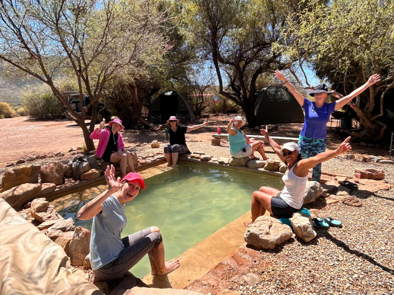 Gecko Rock pool